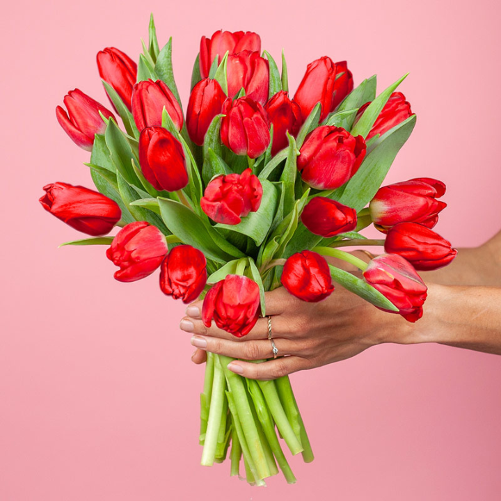 Tulipany na Walentynki?